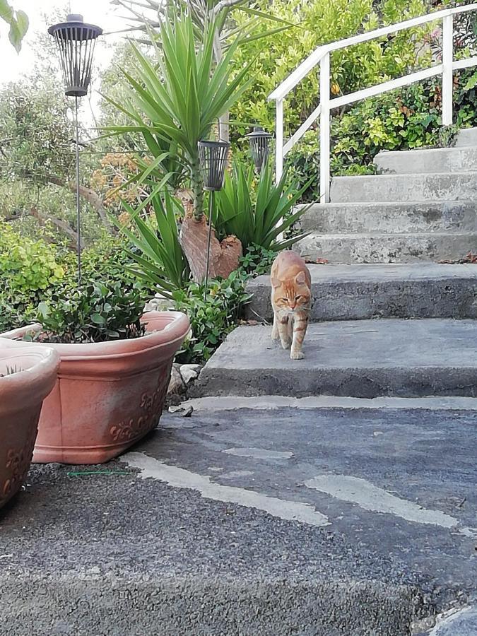 Ferienwohnung U Castiddanu Breathtaking View Taormina Exterior foto